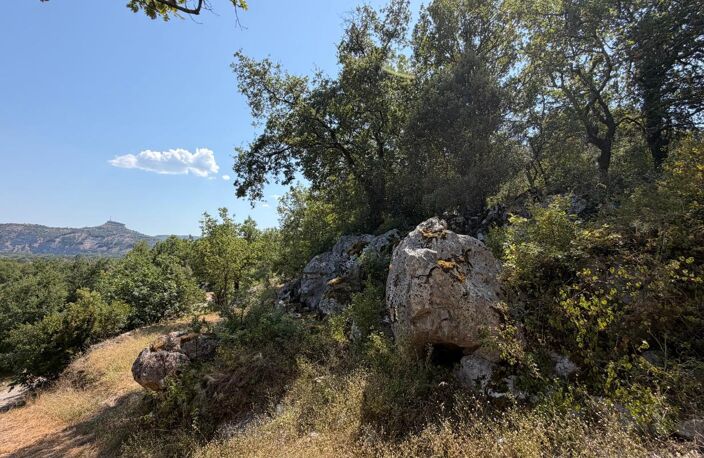 Terrain À Vendre 1500 m² — photo 3
