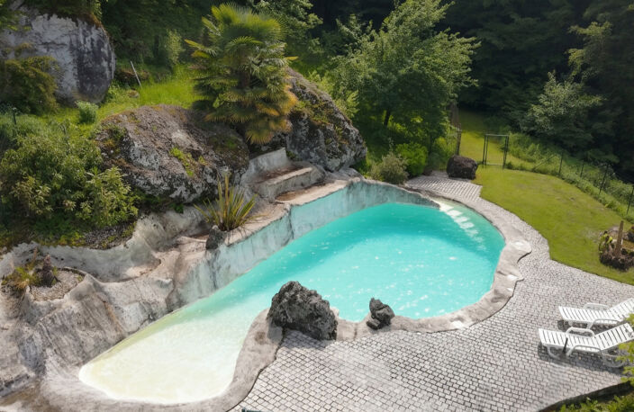 A vendre. Ensemble de 250m² à Tursac (24) avec maison d'habitation, gîte, piscine lagon sur près de 1,5 hectares de terrain en partie boisé. possibilité de création d'une auberge. Source. Géothermie — photo 3