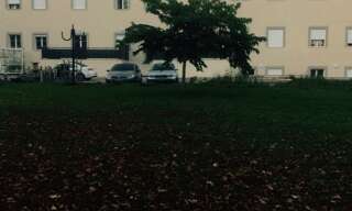 Photo N° 2