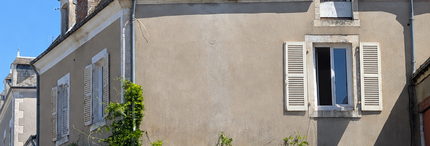 Maison 4 Pièces 112 m² à vendre à Thevet-Saint-Julien (36400)