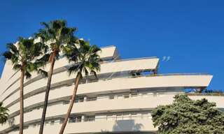 Appartement 1 Pièce 28 m² à louer à Villeneuve-Loubet (06270)