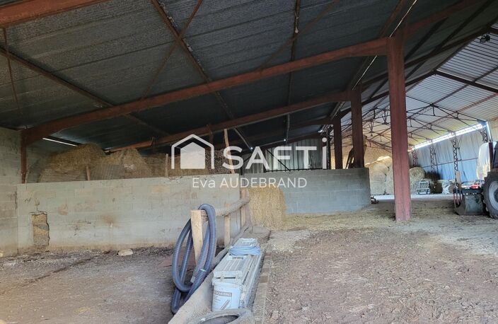 Hangar avec panneaux photovotaïques et parcelle constructible — photo 4