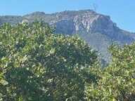 Terrain plat de 625 m² sur Auriol — photo 3