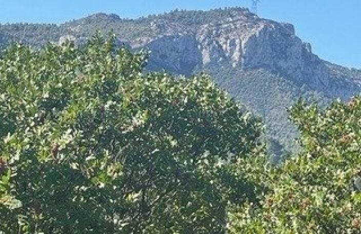 Terrain plat de 625 m² sur Auriol — photo 3