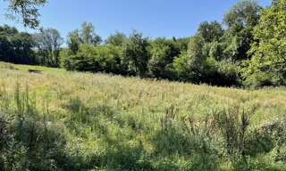 Terrain  1000 m² à vendre à Thiers (63300)