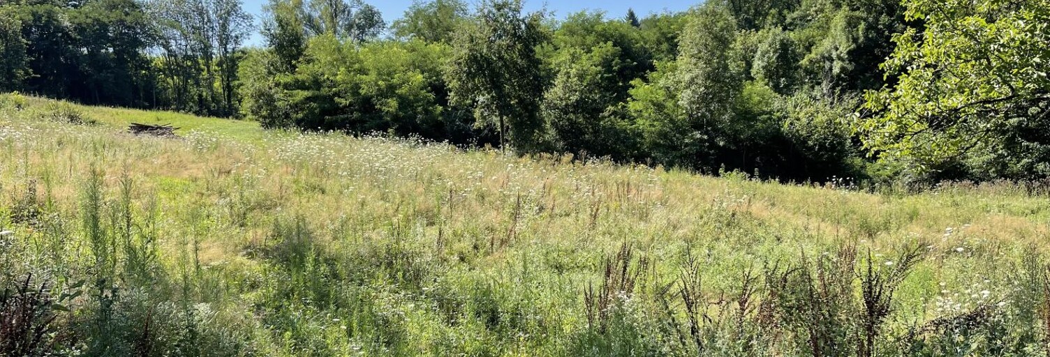 Terrain  1000 m² à vendre à Thiers (63300)