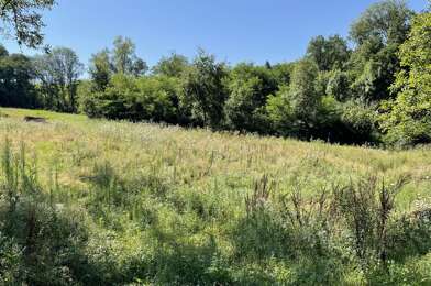 Terrain  110000 €