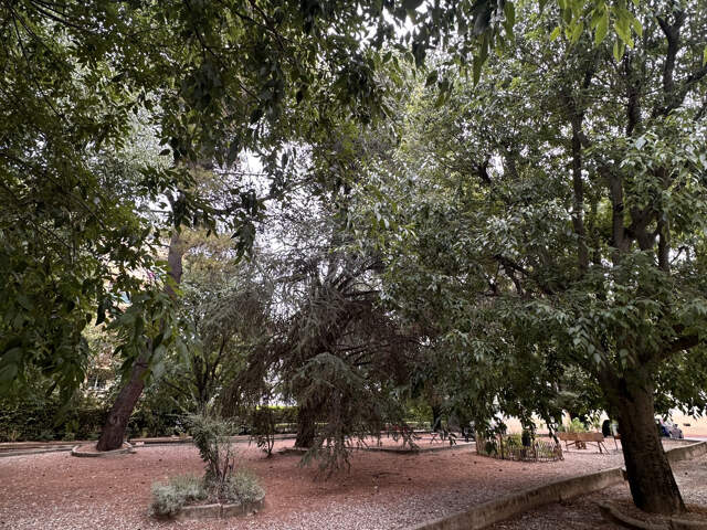 Appartement 59m2-Montpellier-gare — photo du bien