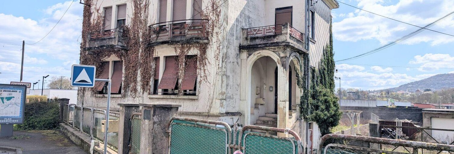 Commerce  3039 m² à vendre à Rosselange (57780)