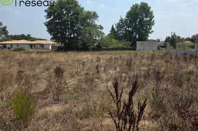 Terrain  250000 €