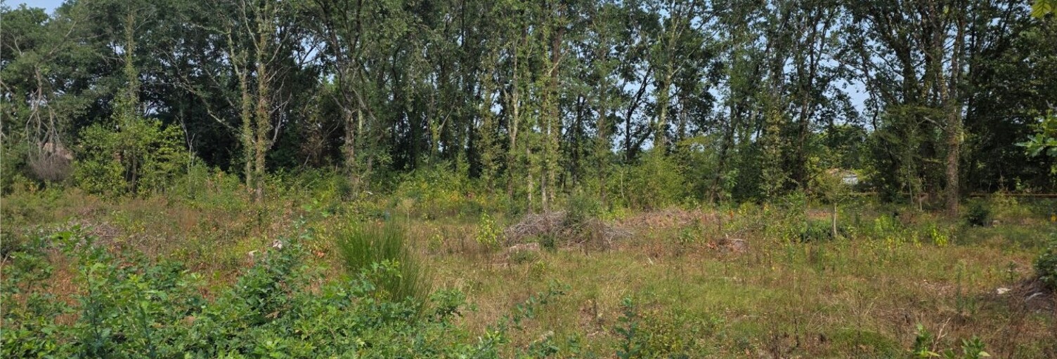 Terrain  597 m² à vendre à Le Teich (33470)