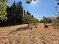 Terrain constructible de 1 265 m2 à Vézénobres, proche commodités — photo 3