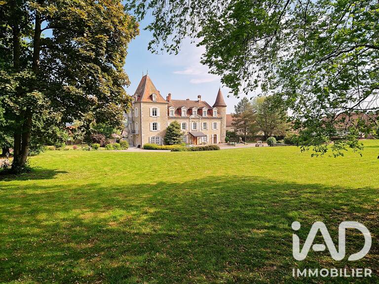 Vente Château 21 pièces — photo 1