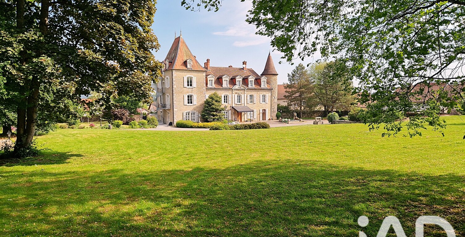 Vente Château 21 pièces — photo 1