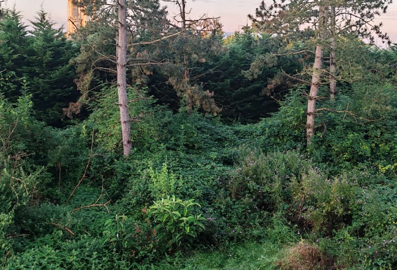 Vente Terrain 1 000 m&sup2; — photo 1