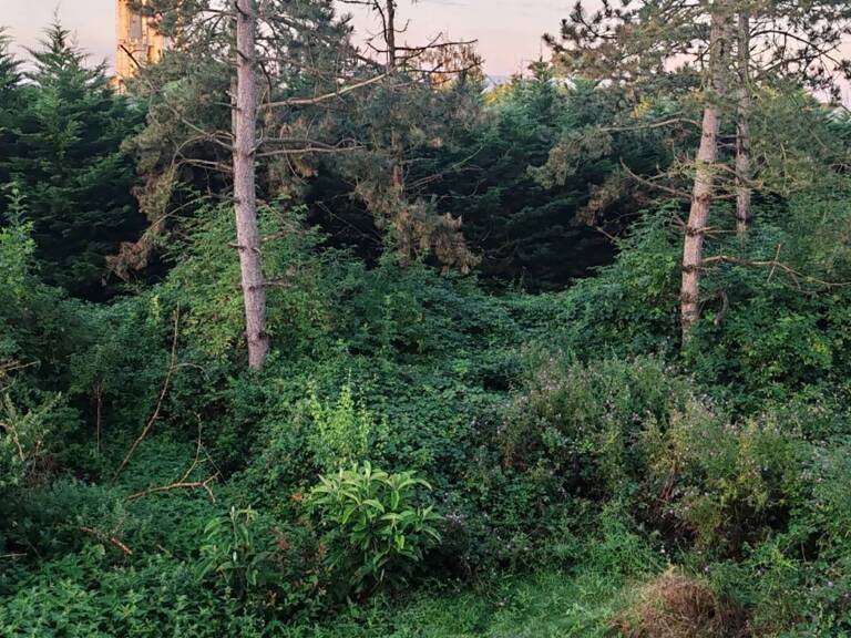 Vente Terrain 1 000 m&sup2; — photo 1