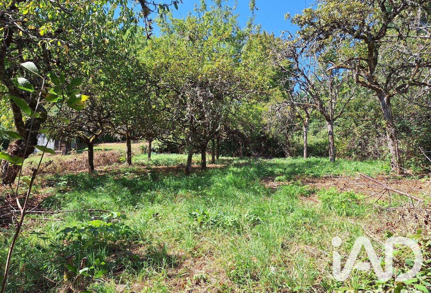 Vente Terrain à bâtir 1 164 m&sup2; — photo 1