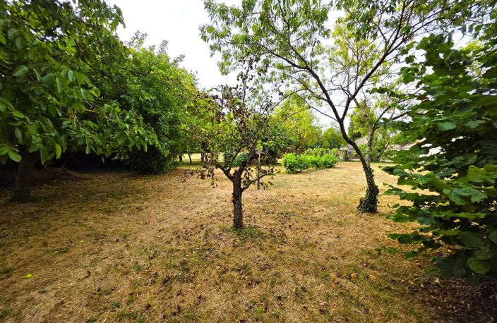 Maison de bourg, sa vie de plain-pied, ses 6 chambres et son terrain en coeur de village ! — photo 3
