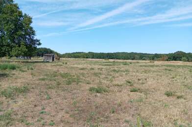 Terrain  99000 €