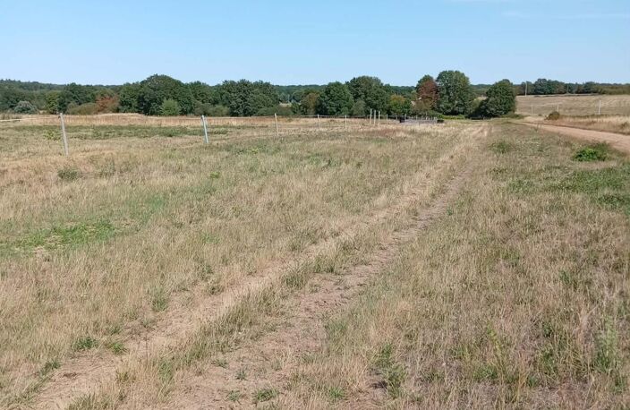 terrain agricole pour elevage chevaux avec piste d'entrainement au calme — photo 2