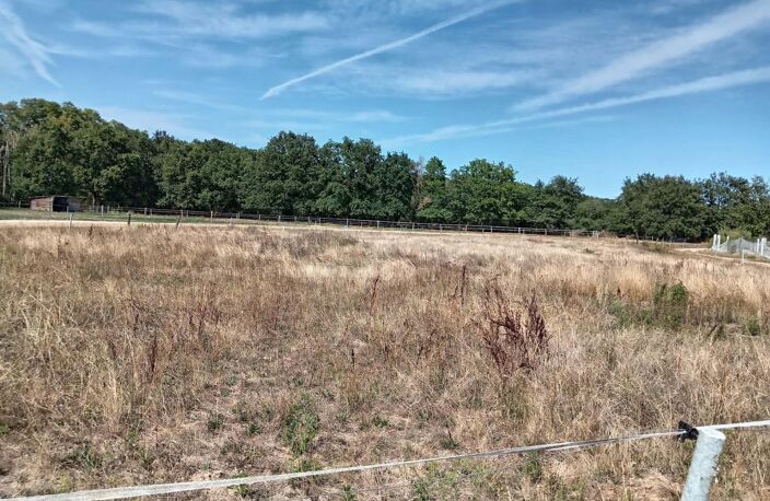 terrain agricole pour elevage chevaux avec piste d'entrainement au calme — photo 3