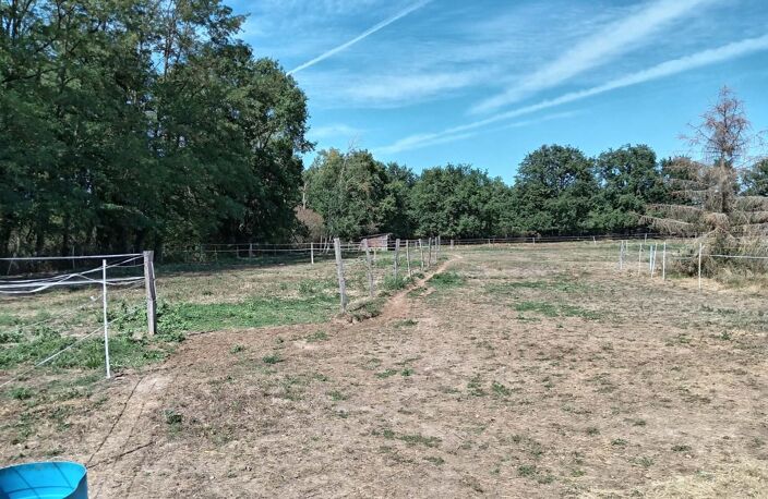 terrain agricole pour elevage chevaux avec piste d'entrainement au calme — photo 4
