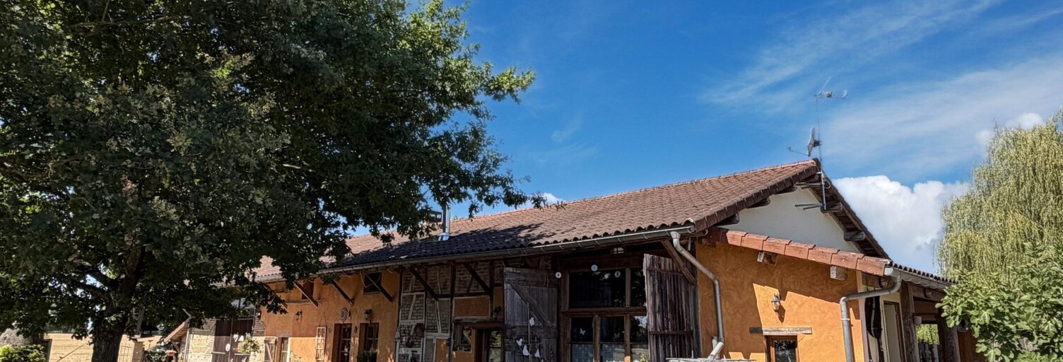 Maison 7 Pièces 276 m² à vendre à Louhans (71500)