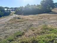 terrain — photo 2
