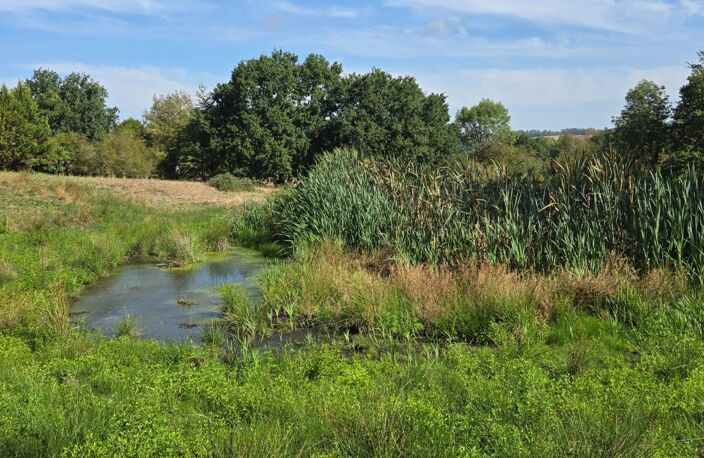 GRANGE 2 PIECES + TERRAIN AGRICOLE ~ 1.4Ha AVEC PECHERIE - ENVIRONNEMENT CALME ET CAMPAGNE — photo 3