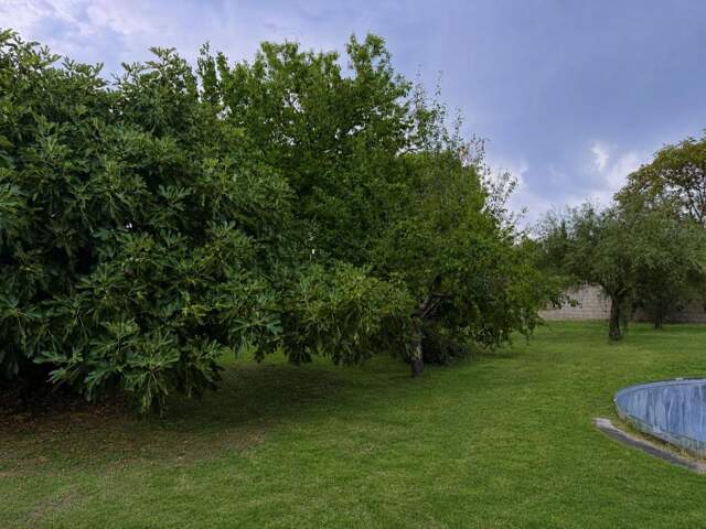 Terrain À Vendre — photo du bien