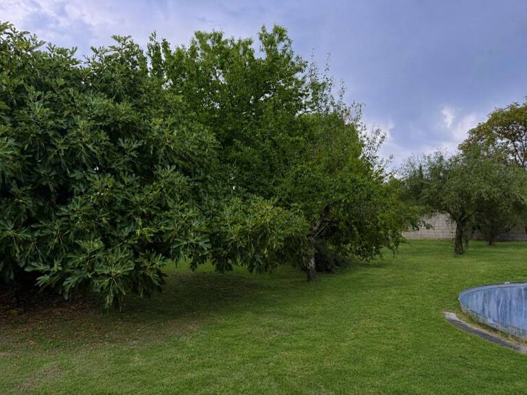 Terrain À Vendre — photo 1