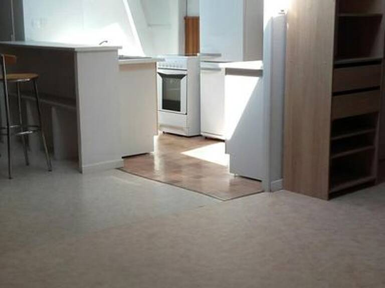 Studio de 45m2 à louer sur Germigny-l'Évêque — photo 1
