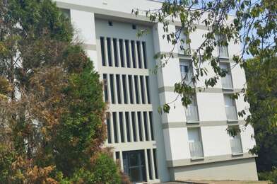 Appartement 1 pièces 450 €