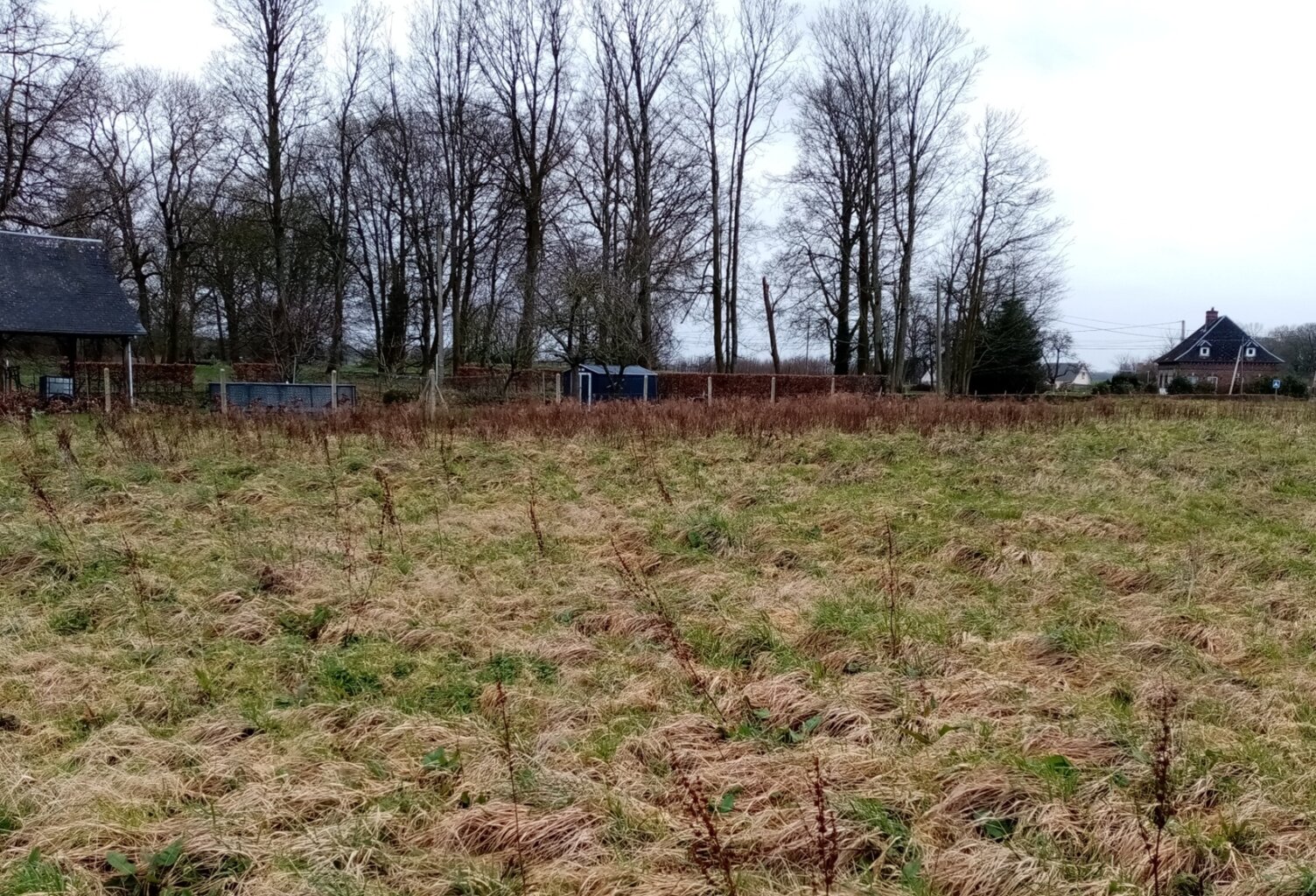Dpt Seine Maritime (76), à vendre TERRES DE CAUX terrain — photo 1