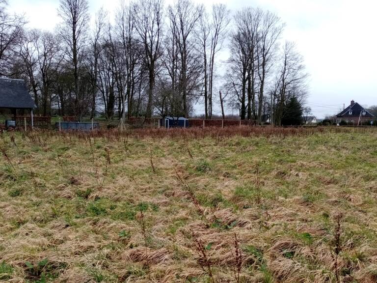 Dpt Seine Maritime (76), à vendre TERRES DE CAUX terrain — photo 1