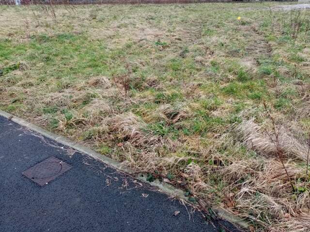 Dpt Seine Maritime (76), à vendre FAUVILLE EN CAUX terrain — photo du bien