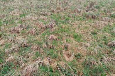 Terrain  63000 €
