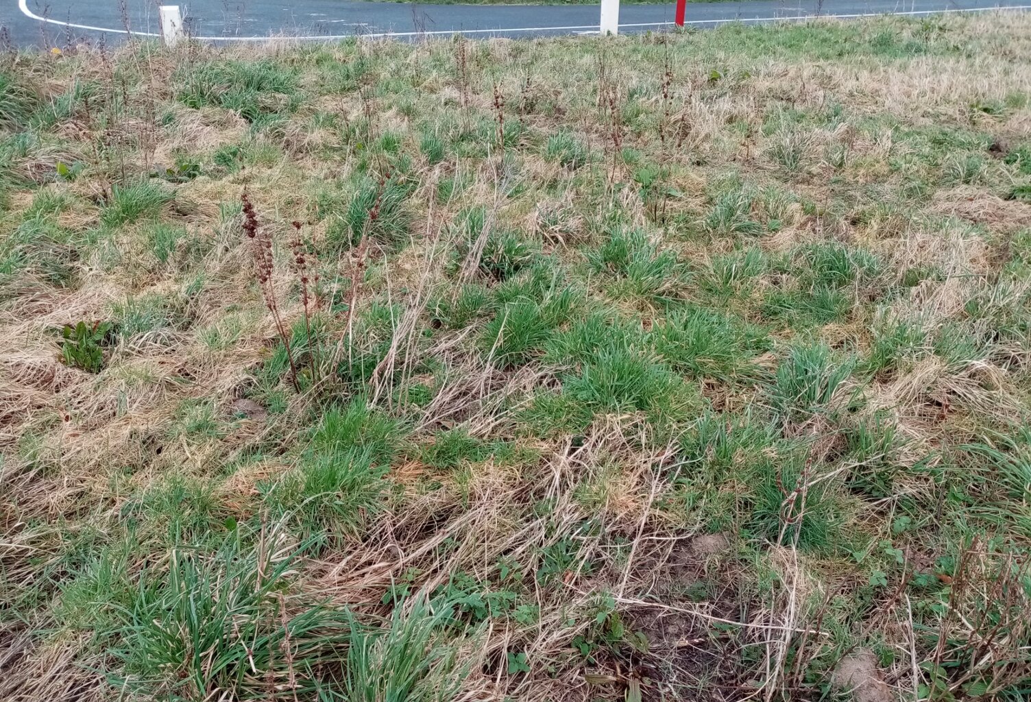 Dpt Seine Maritime (76), à vendre proche de OURVILLE EN CAUX terrain — photo 1