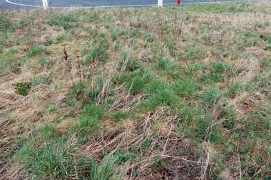 Terrain  58600 €