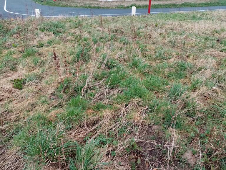 Dpt Seine Maritime (76), à vendre proche de OURVILLE EN CAUX terrain — photo 1