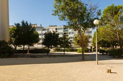 Appartement 3 pièces 396 €