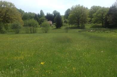 Terrain  85000 €