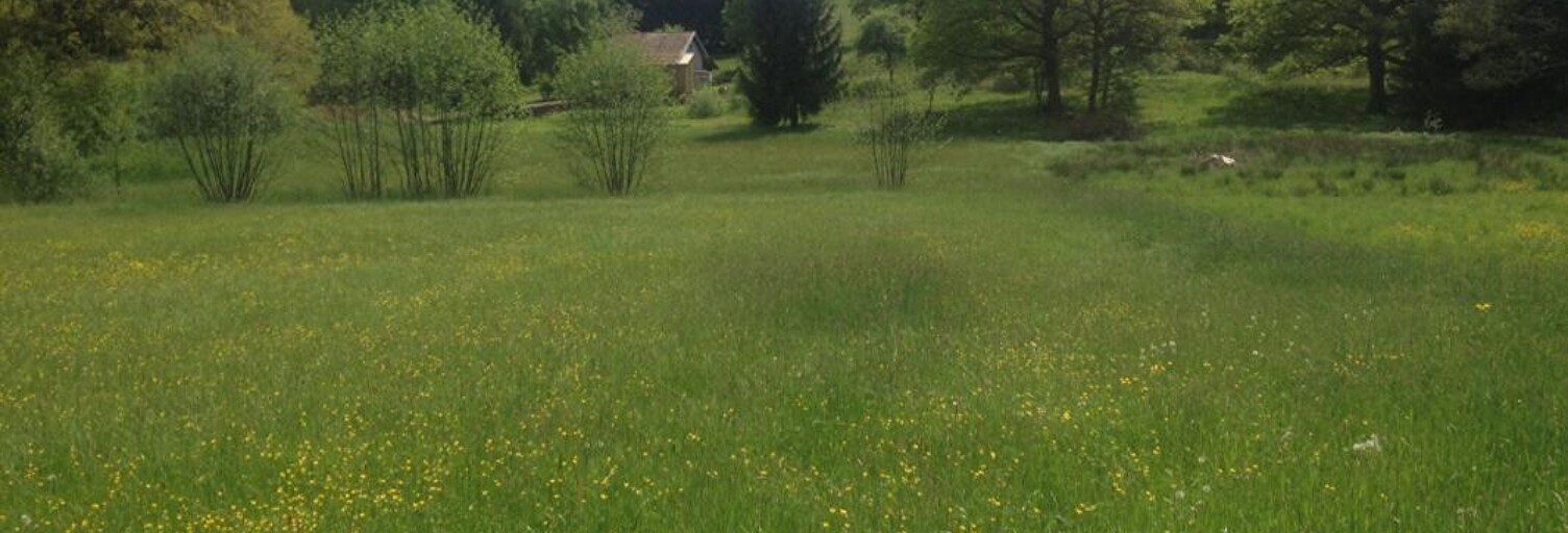 Terrain  1000 m² à vendre à Menoncourt (90150)