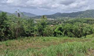Terrain  503 m² à vendre à Rivière-Pilote (97211)