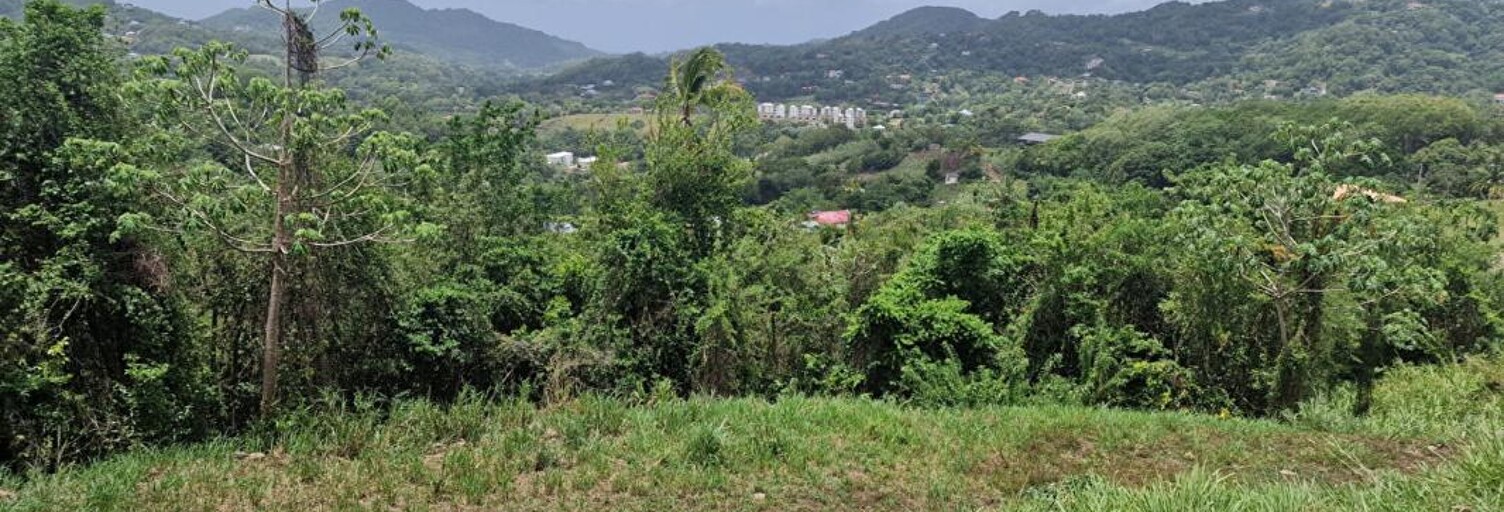 Terrain  503 m² à vendre à Rivière-Pilote (97211)
