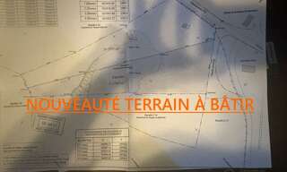 Terrain  3991 m² à vendre à Piedigriggio (20218)
