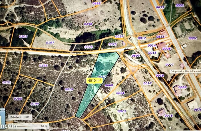 Terrain — photo 3