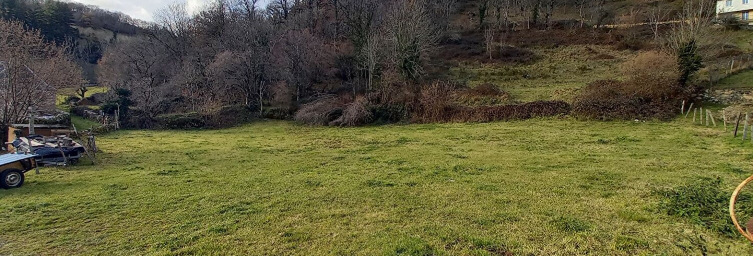 Terrain  5117 m² à vendre à Saint-Chély-d'Aubrac (12470)