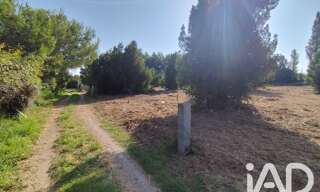 Terrain  5260 m² à vendre à Salses-le-Château (66600)