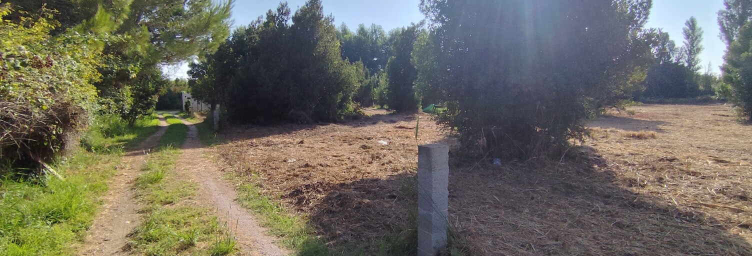 Terrain  5260 m² à vendre à Salses-le-Château (66600)